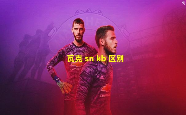 瓦克 sn kb 区别